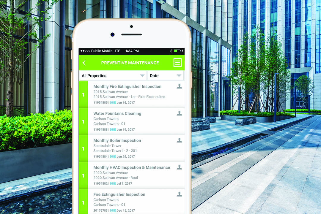 screenshot of MRI Angus